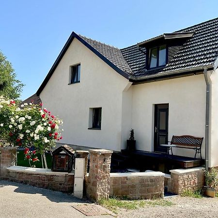 L'Escale Apartment Riquewihr Bagian luar foto