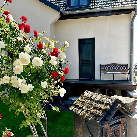 L'Escale Apartment Riquewihr Bagian luar foto
