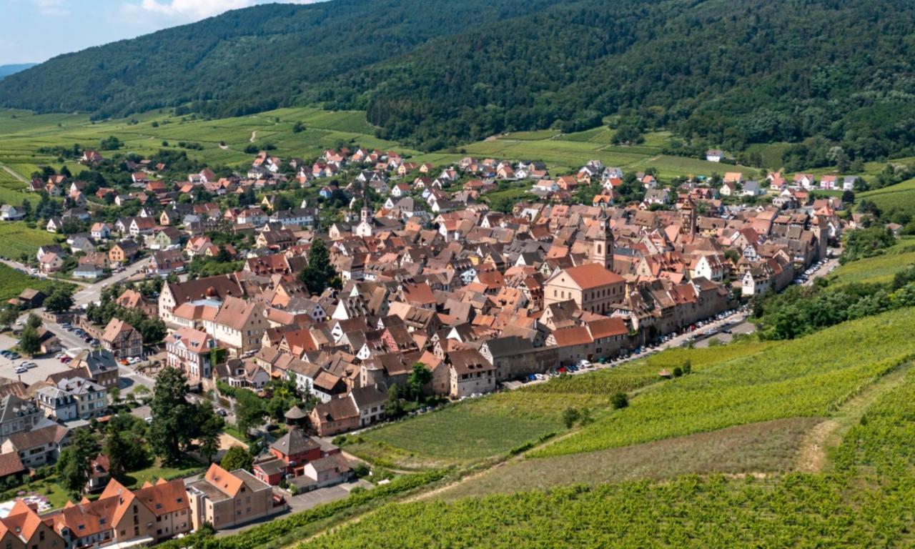 L'Escale Apartment Riquewihr Bagian luar foto