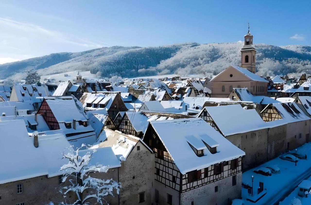 L'Escale Apartment Riquewihr Bagian luar foto