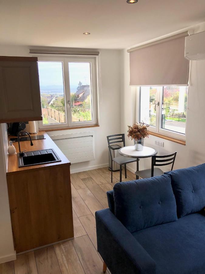 L'Escale Apartment Riquewihr Bagian luar foto