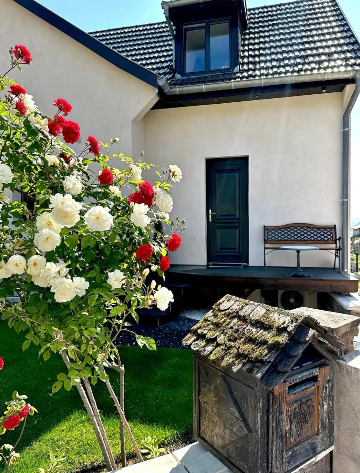 L'Escale Apartment Riquewihr Bagian luar foto